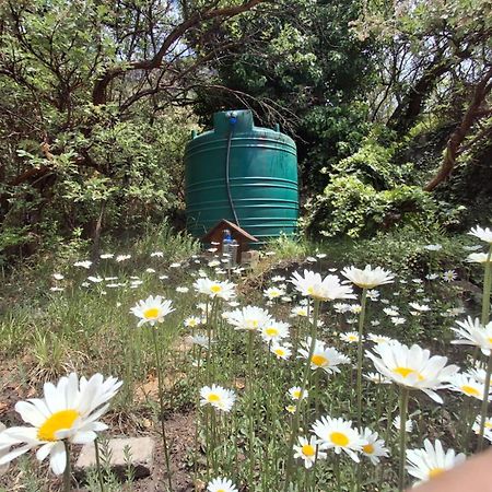 His Vessel Guesthouse Clarens Fs Exterior foto