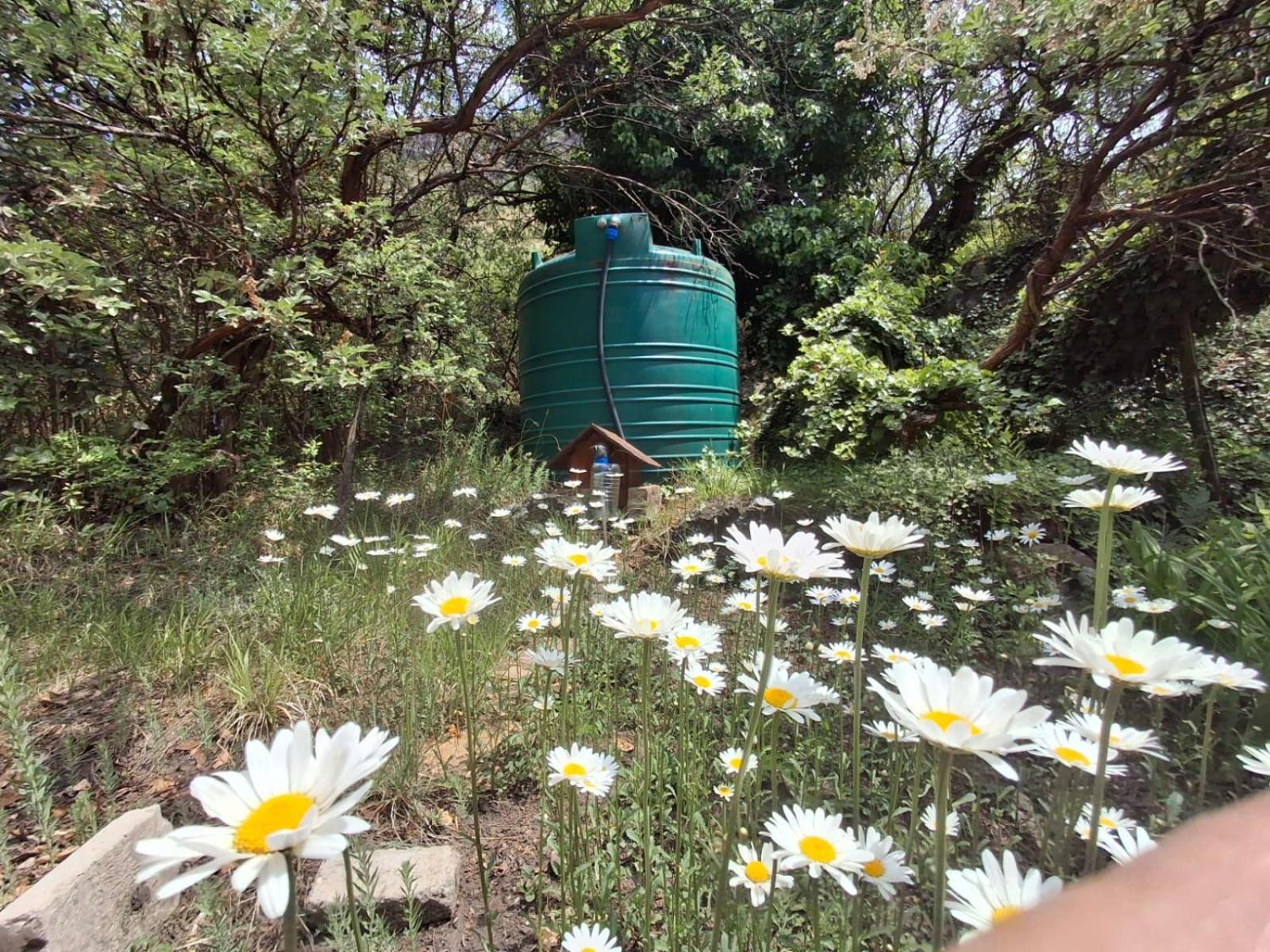 His Vessel Guesthouse Clarens Fs Exterior foto